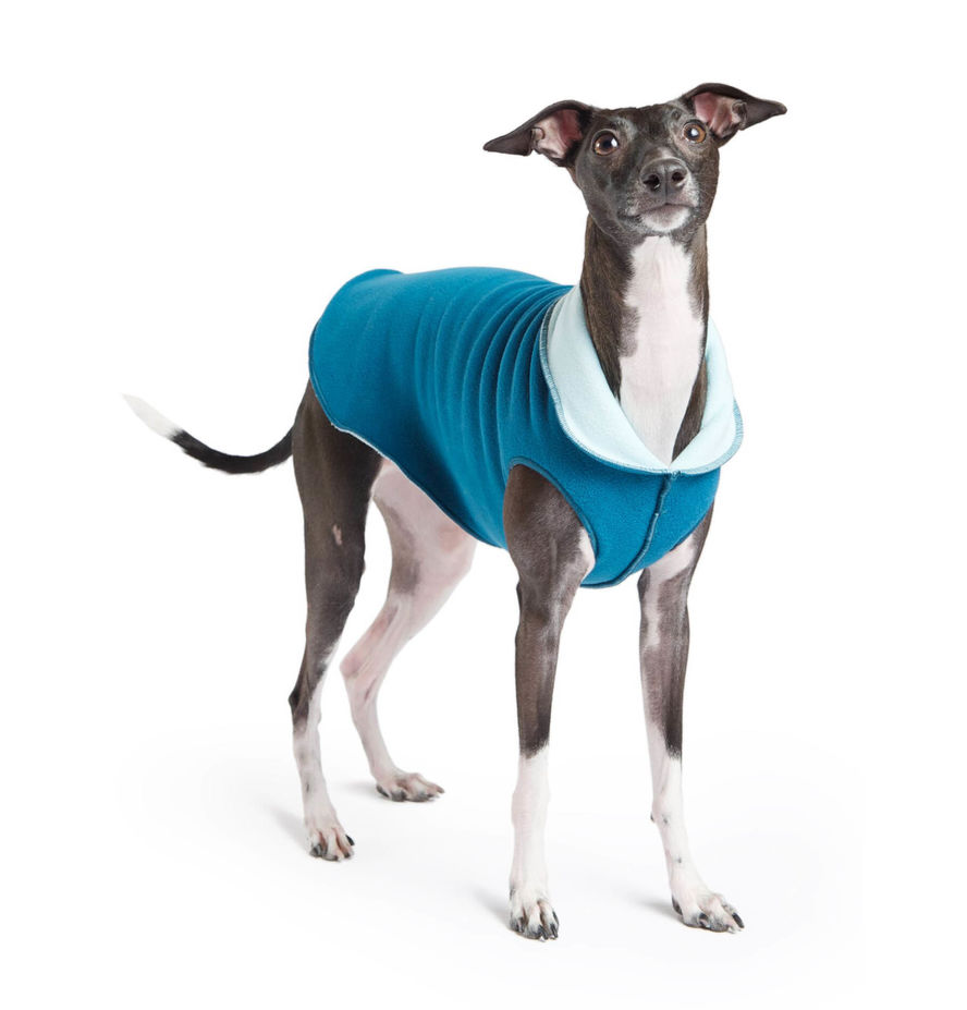 Gold Paw Series Double Fleece Pullover FINAL — Drive Pet
