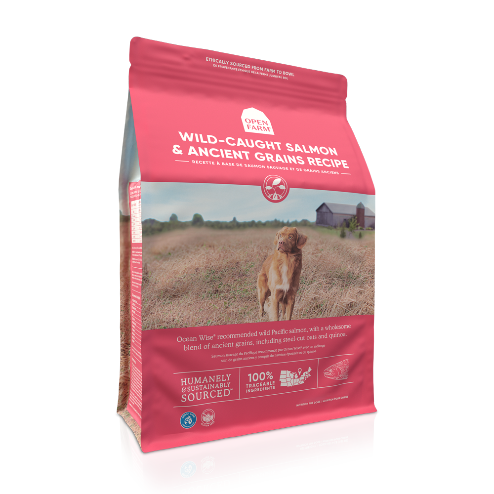 high grain dog food