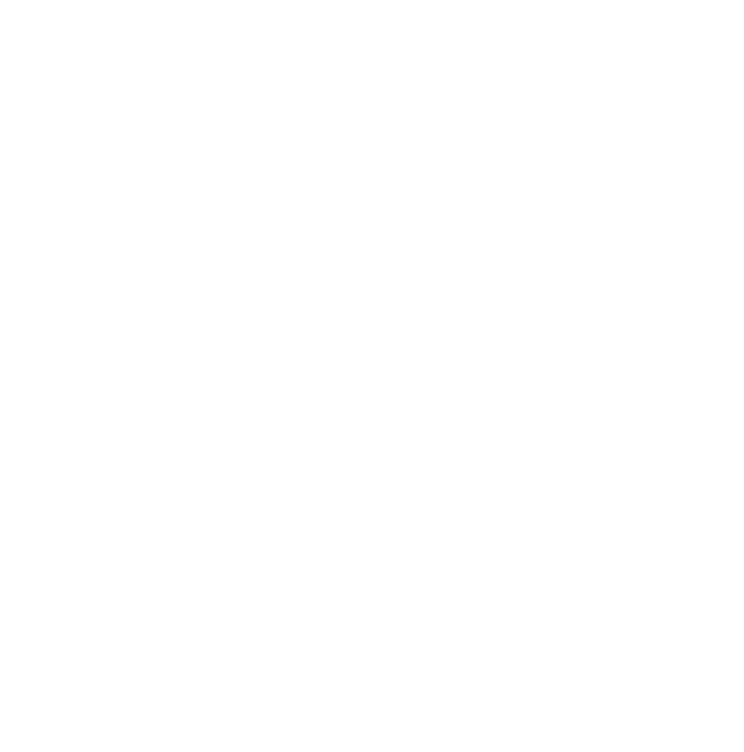 Visionary Aerials