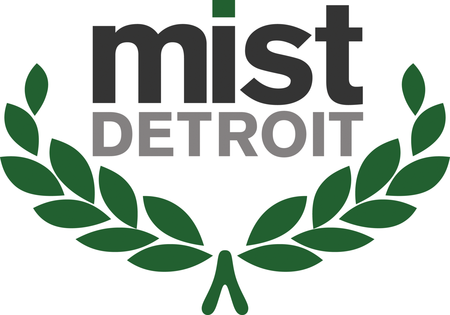 MIST Detroit