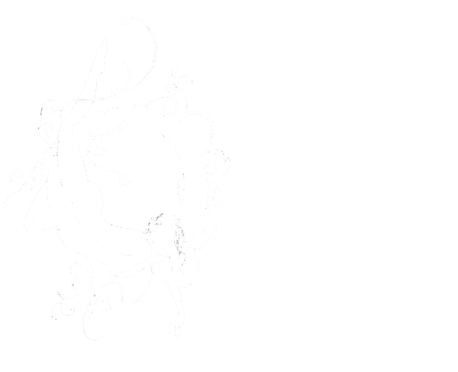 Only Child Aerial Theatre