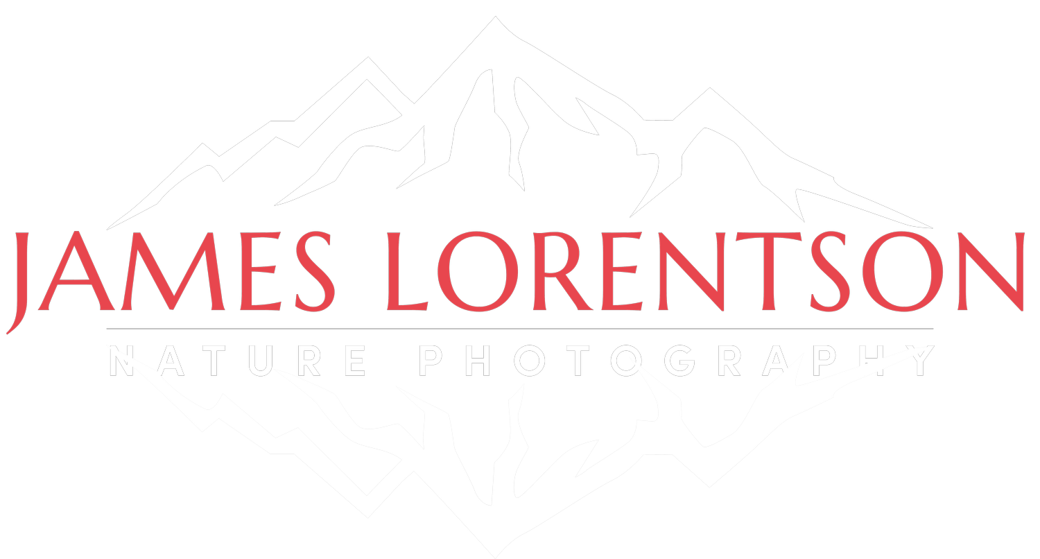 James Lorentson Photography: Nature Photography Workshops &amp; Fine Art Prints