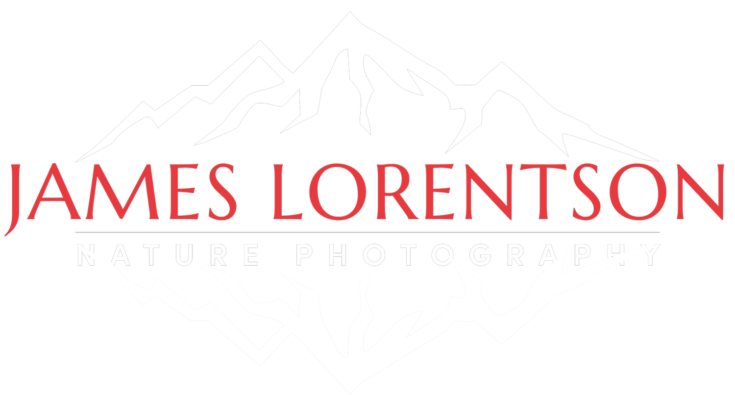 James Lorentson Photography: Nature Photography Workshops &amp; Fine Art Prints