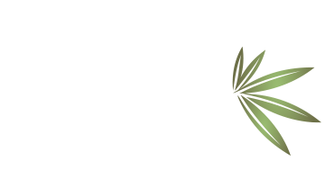 PALM GROVE BEACH RESORT
