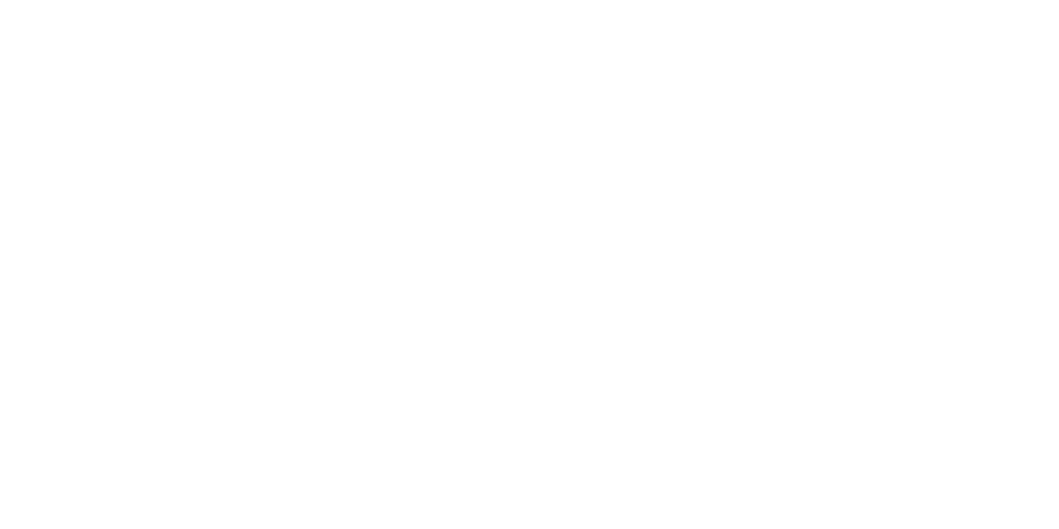 STLN.ID