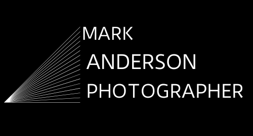 Mark Anderson Photographer
