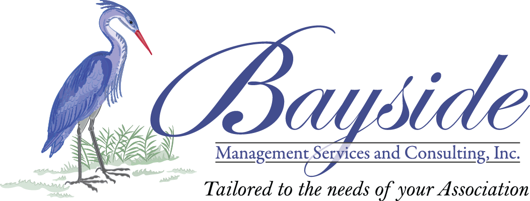 Bayside Management Services and Consulting, Inc.