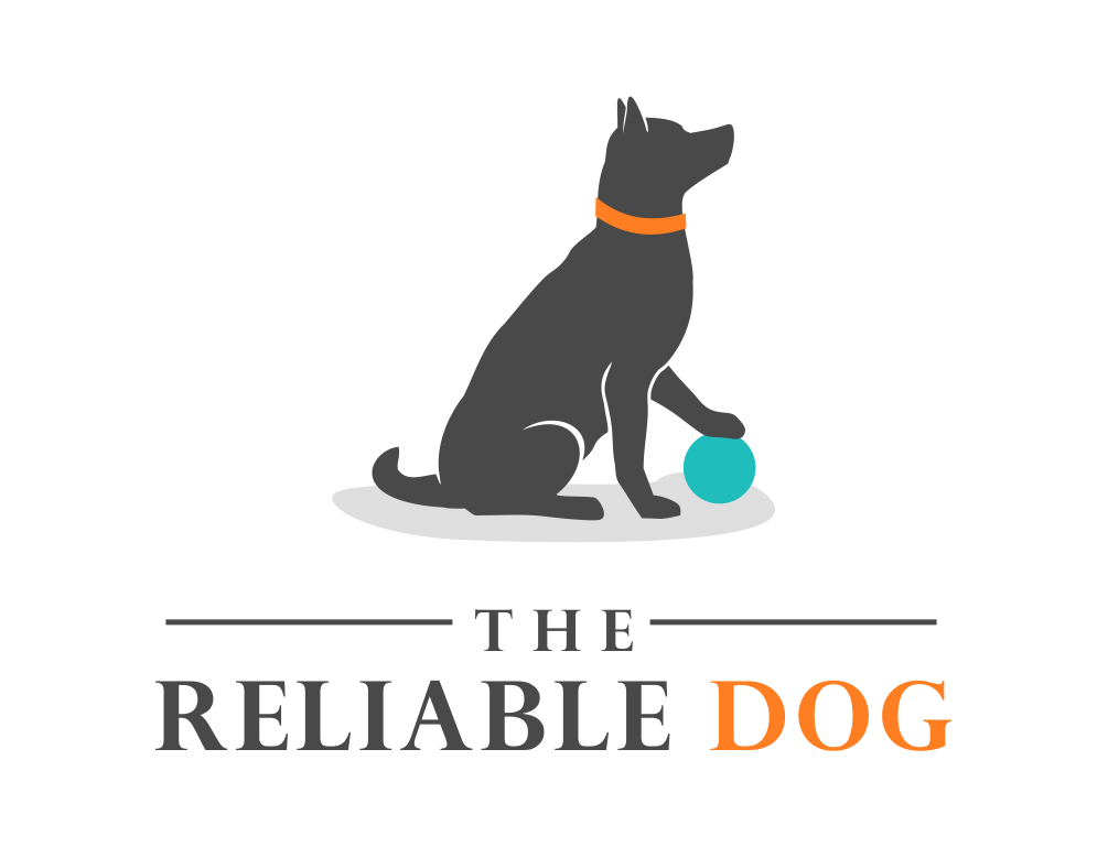 The Reliable Dog | Professional Dog Trainer | Cape Cod and South Shore, MA