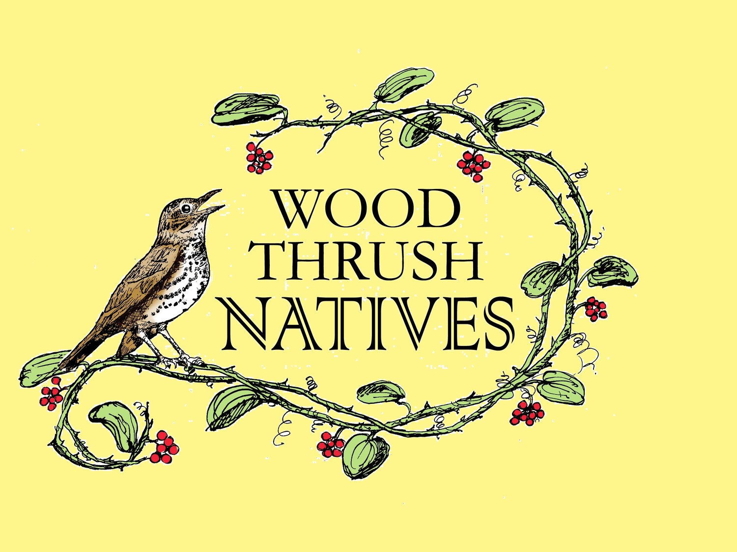 Wood Thrush Native Nursery