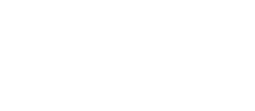 LM Consulting - Technology Support