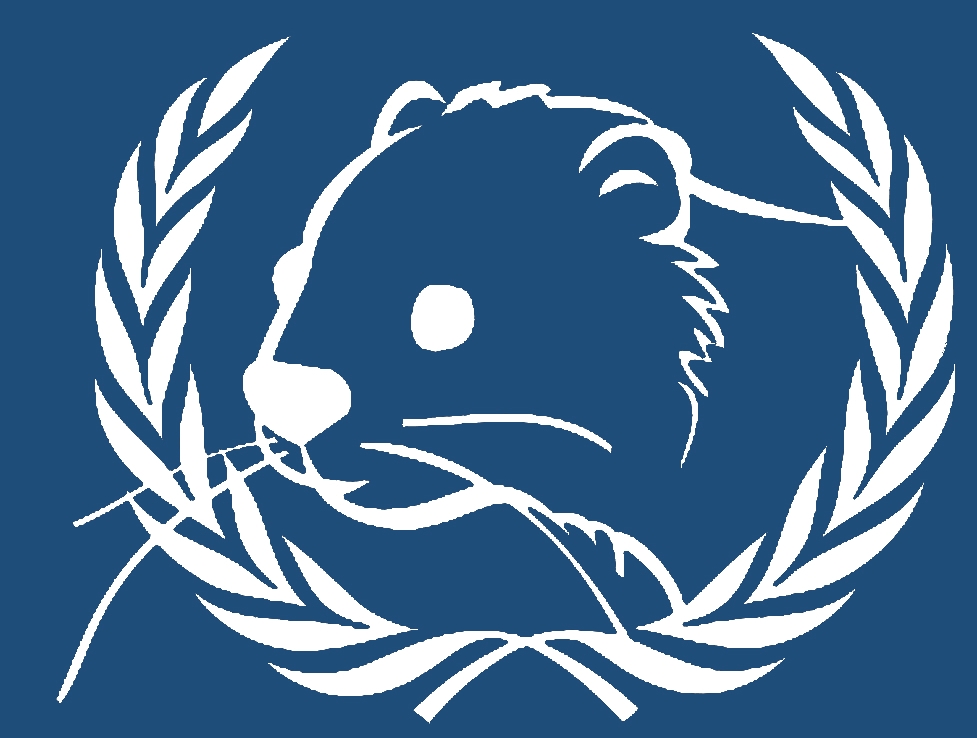 LSESU United Nations Society