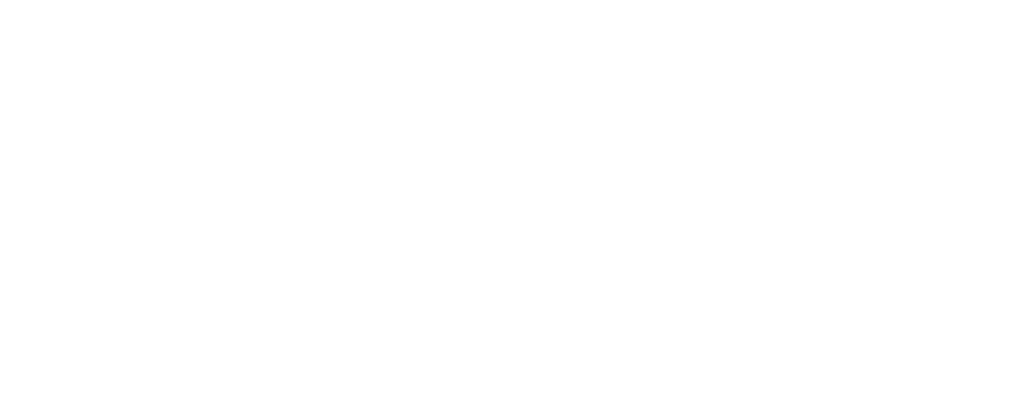 SPOTLIGHT DANSESTUDIO