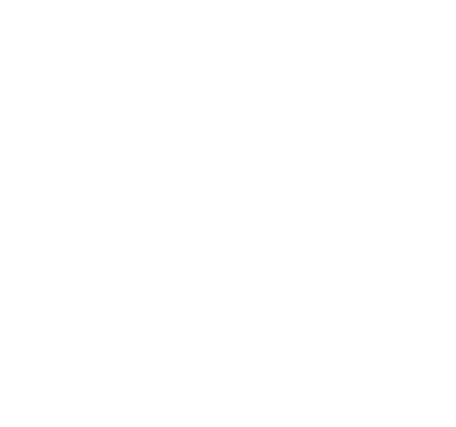 Snoice