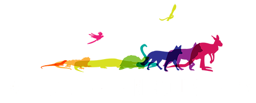 Wildlife Encounters | Wildlife Educational Outreach Programs
