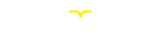 EXAMGURU