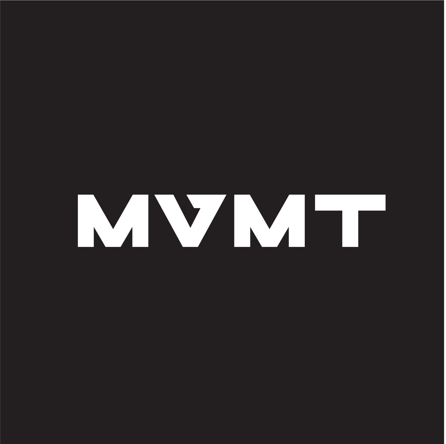 MVMT Students Volunteers & Student Leaders