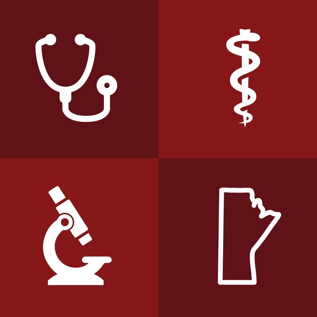University of Manitoba Undergraduate Leaders in Healthcare