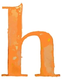 Hawkie Consultants