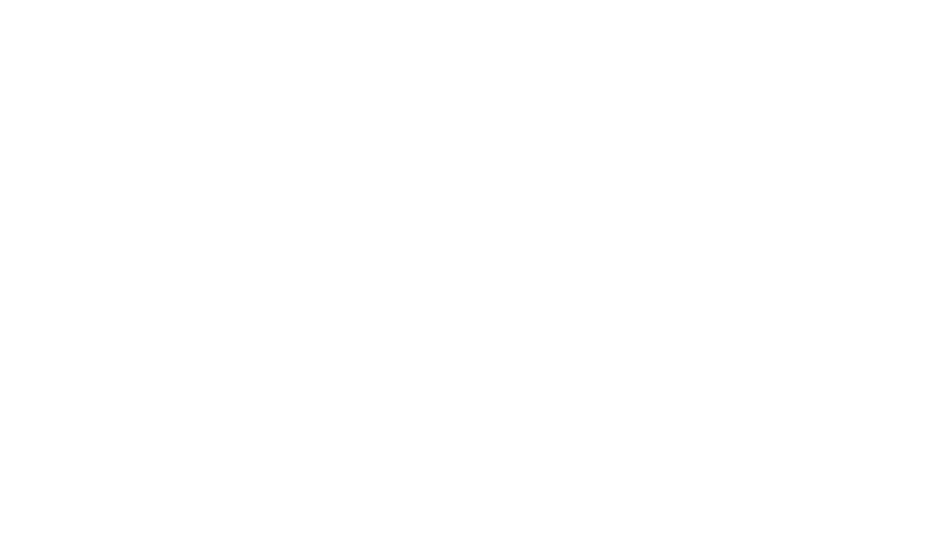 Trions Dressyr