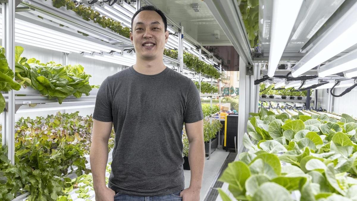 Hydroponic Shipping Container Farms — iGrow