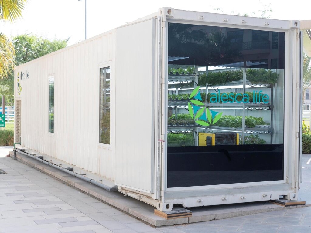 Hydroponic Shipping Container Farms — iGrow