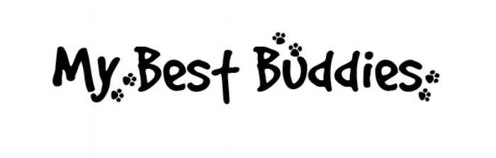 My Best Buddies