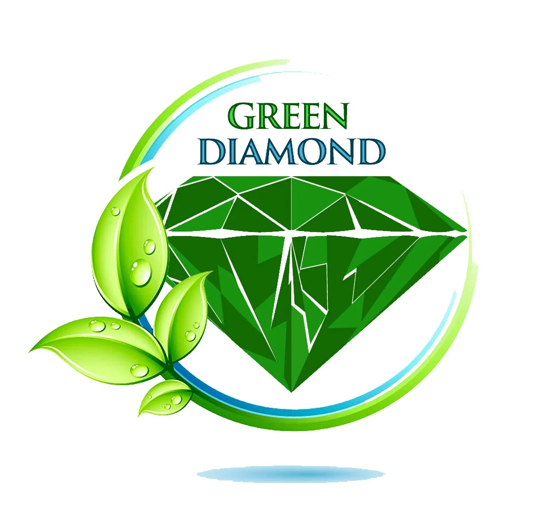 Green Diamond Logo Eco Diamond Logo Icon Design Royalty Free Vector