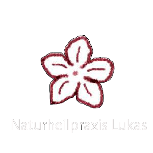 Naturheilpraxis Lukas