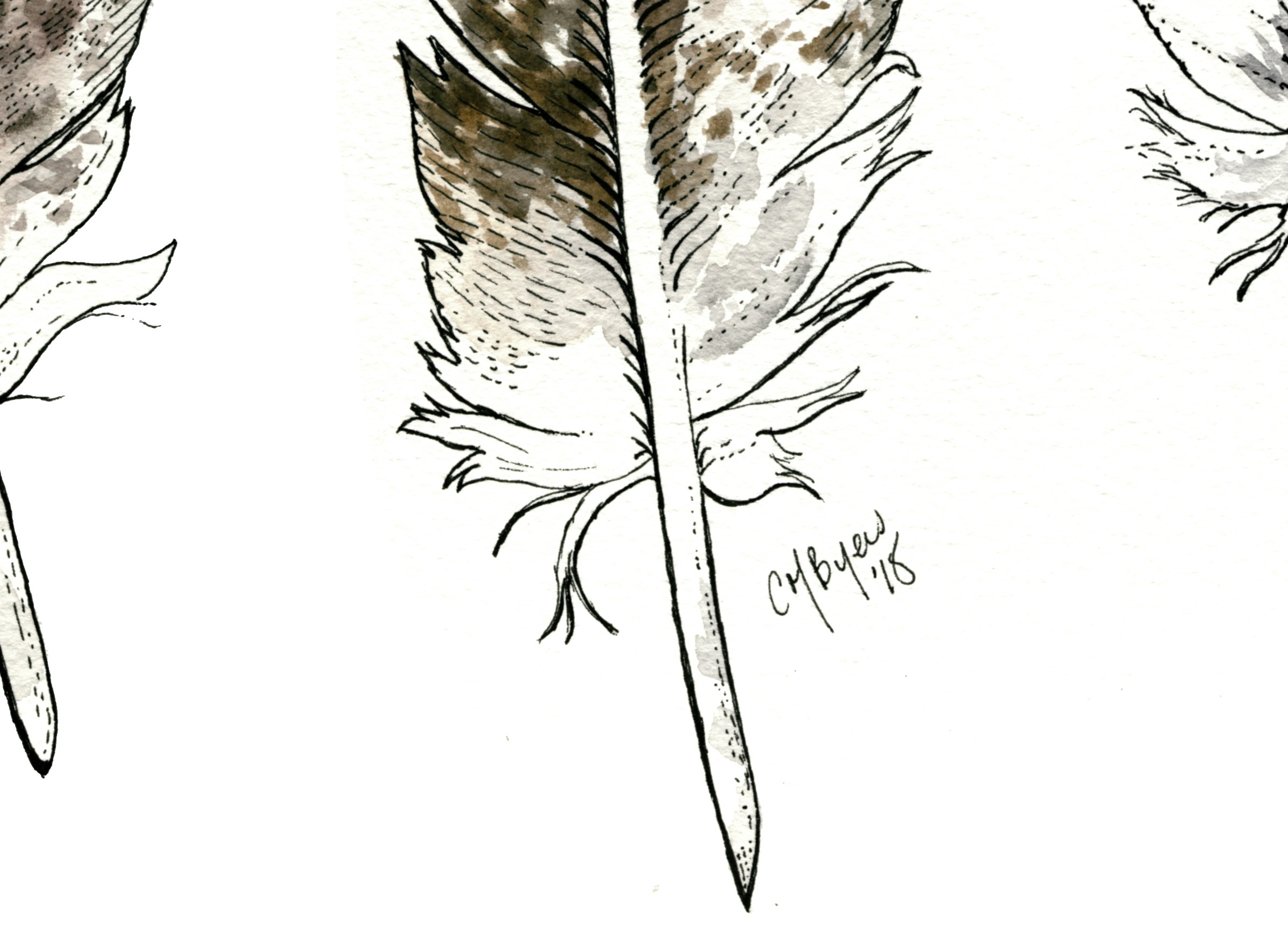 Original Painting Bald Eagle Tail Feathers Green Sparrow Arts