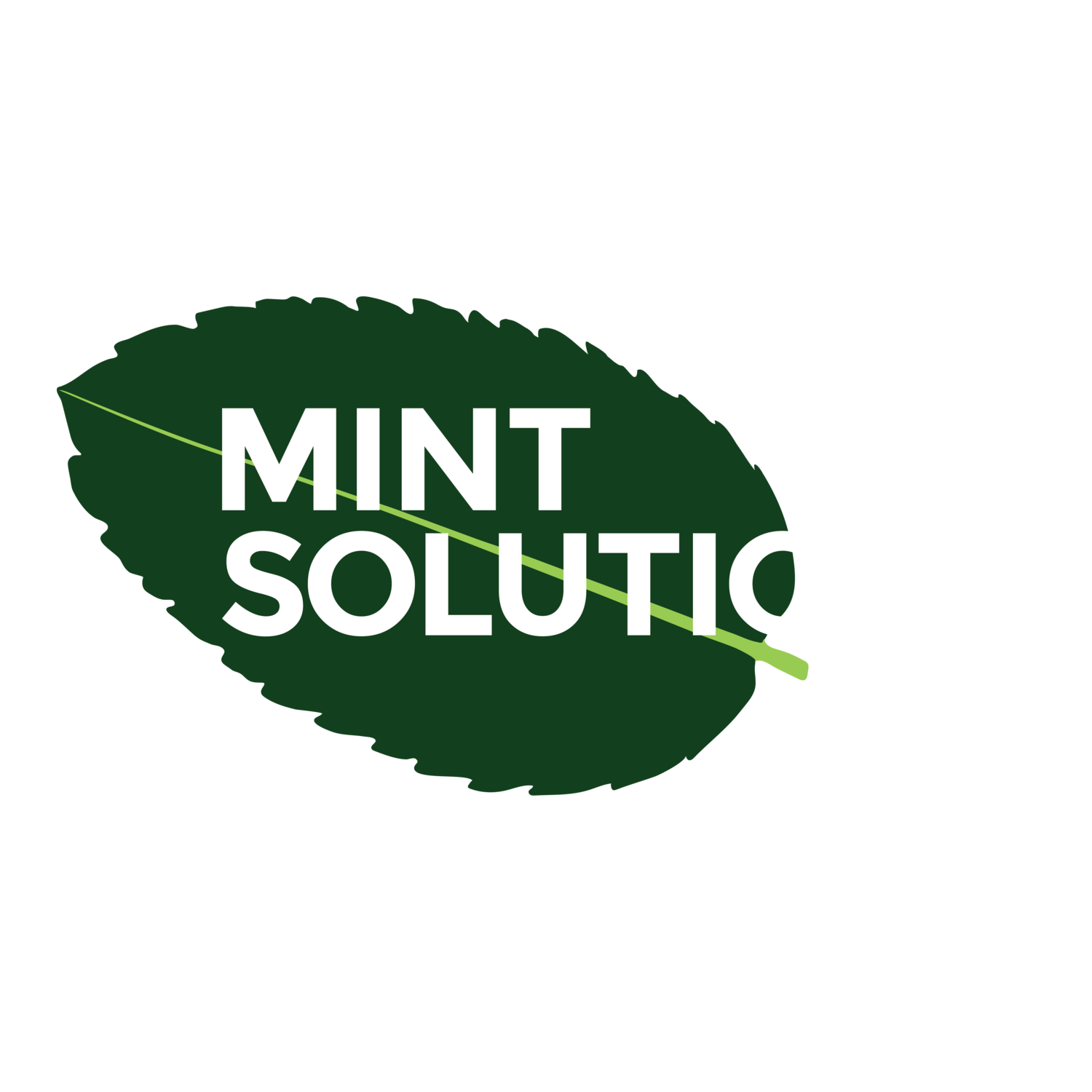 Mint Solutions Ltd