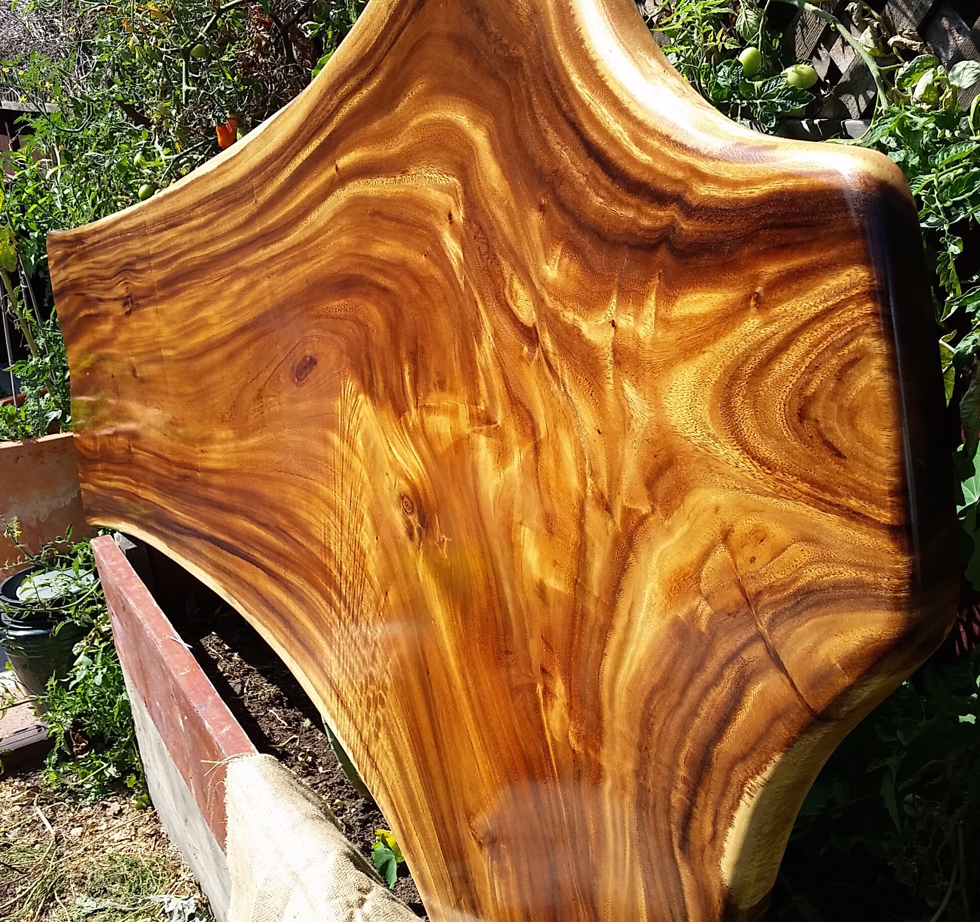 Customizable Live Edge Natural Shape Monkey Pod Slab Isak