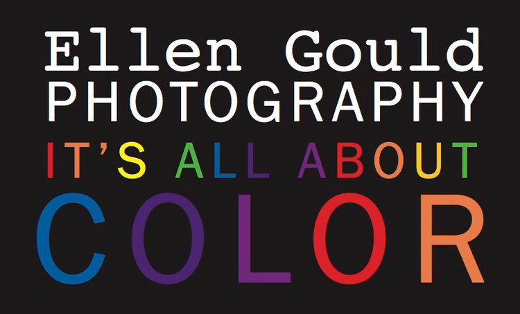 Ellen Gould Photography