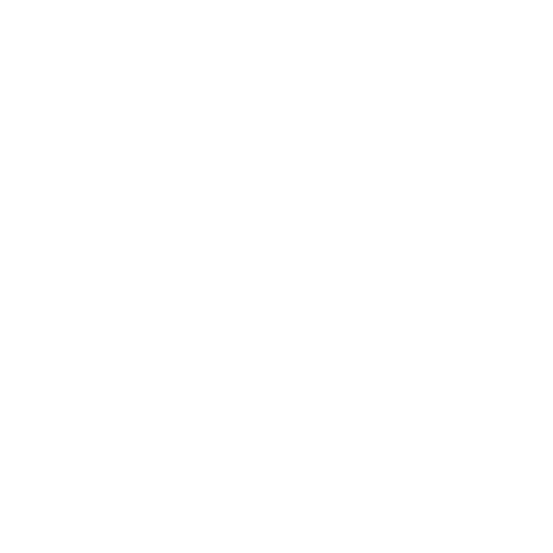 Moving Icon White 3.png