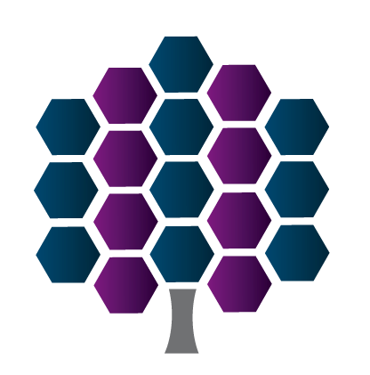 Taylor Accounting Group