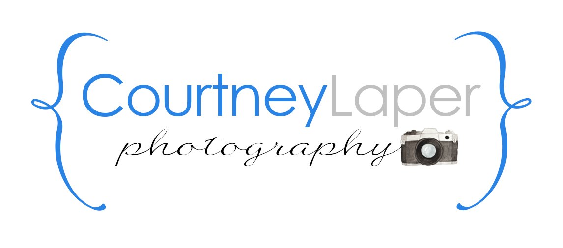 Courtney Laper Photography - Chicago Newborn Photographer