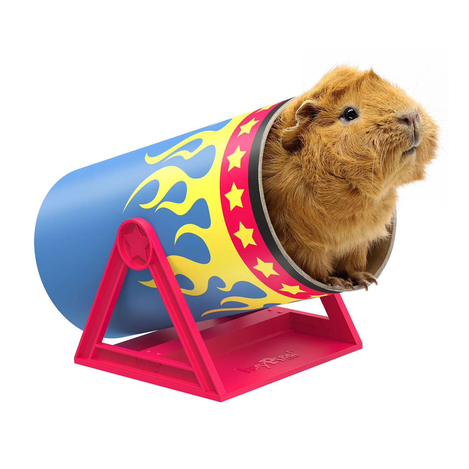 Cute Diy Guinea Pig Toys Wow Blog