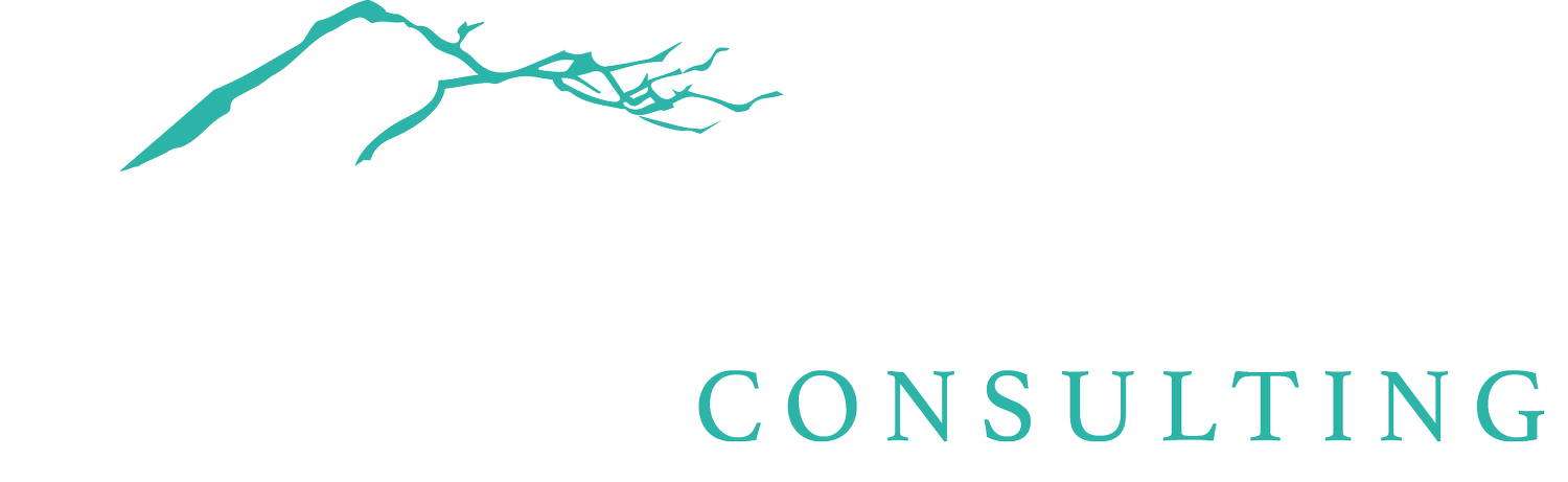 Mountain Branch Consulting