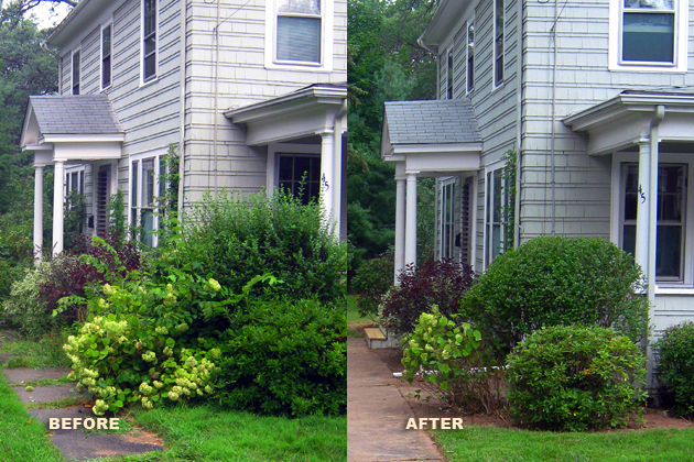 Before & After
