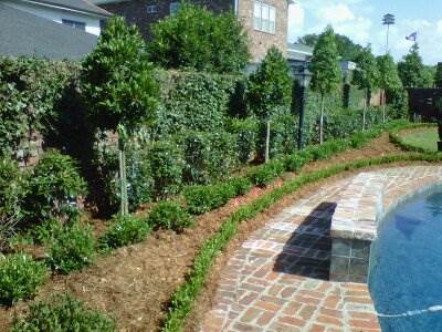 Landscaping_Poolside2.jpg
