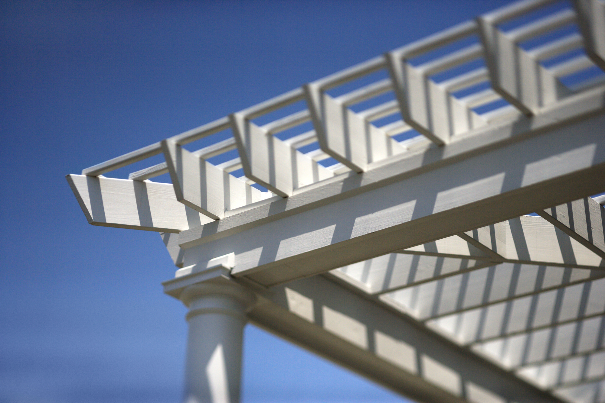 pergola_closeup.jpg.