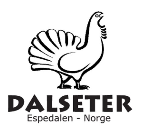 DALSETER