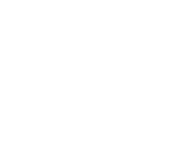 The Monica Jenkins Film Festival