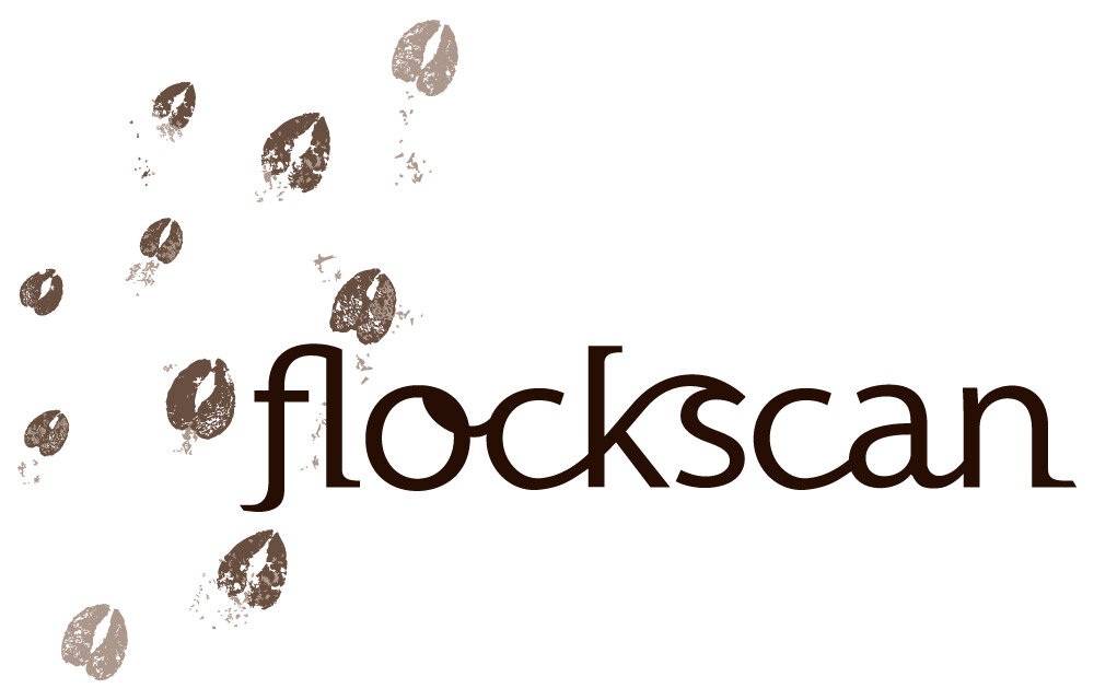 Flockscan