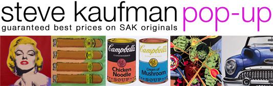 Steve Kaufman Pop Up