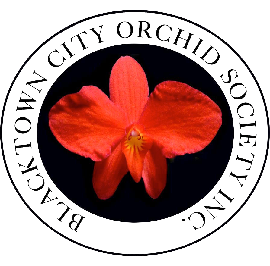 Blacktown City Orchid Society Inc.