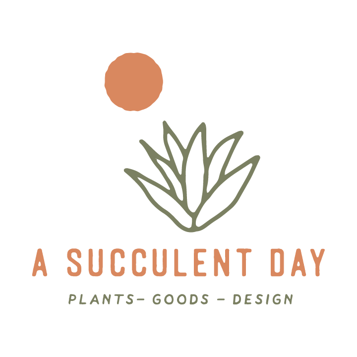 A Succulent Day