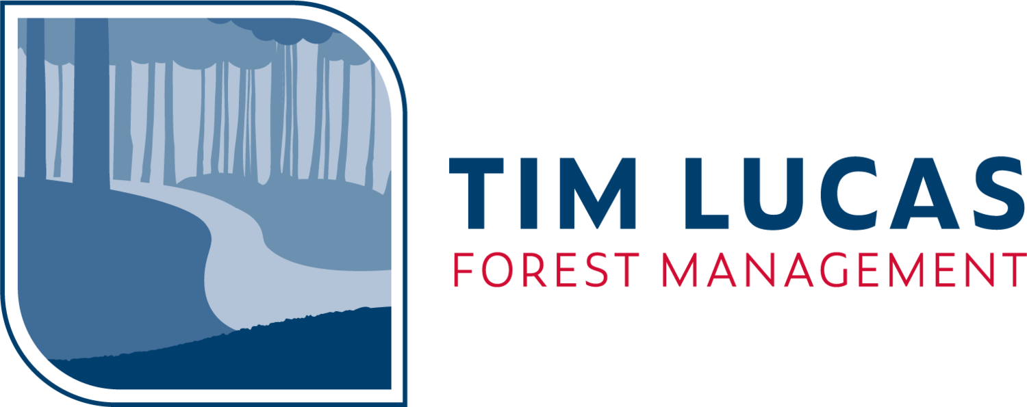 Tim Lucas Forest Management