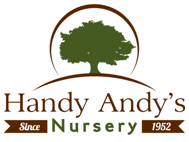 Handy Andy's Nursery