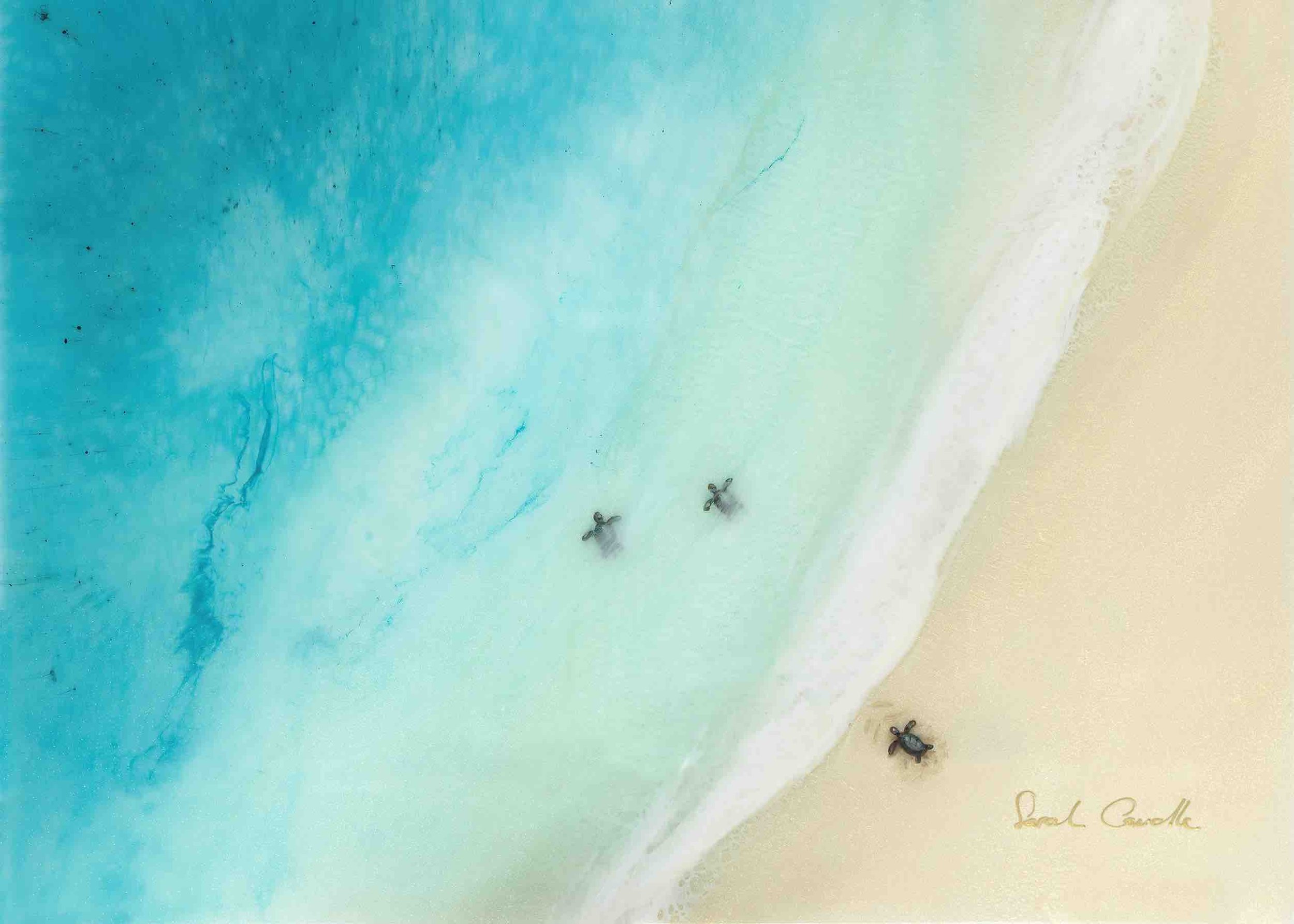 Sarah Caudle, Island Life, Polu Gallery Hawaii — Polu Gallery