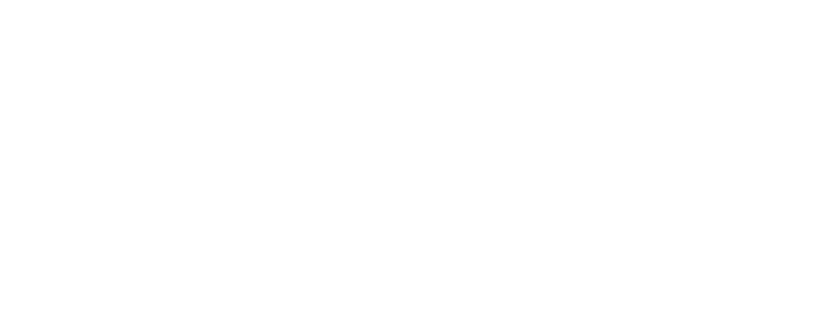 Digital Scribe